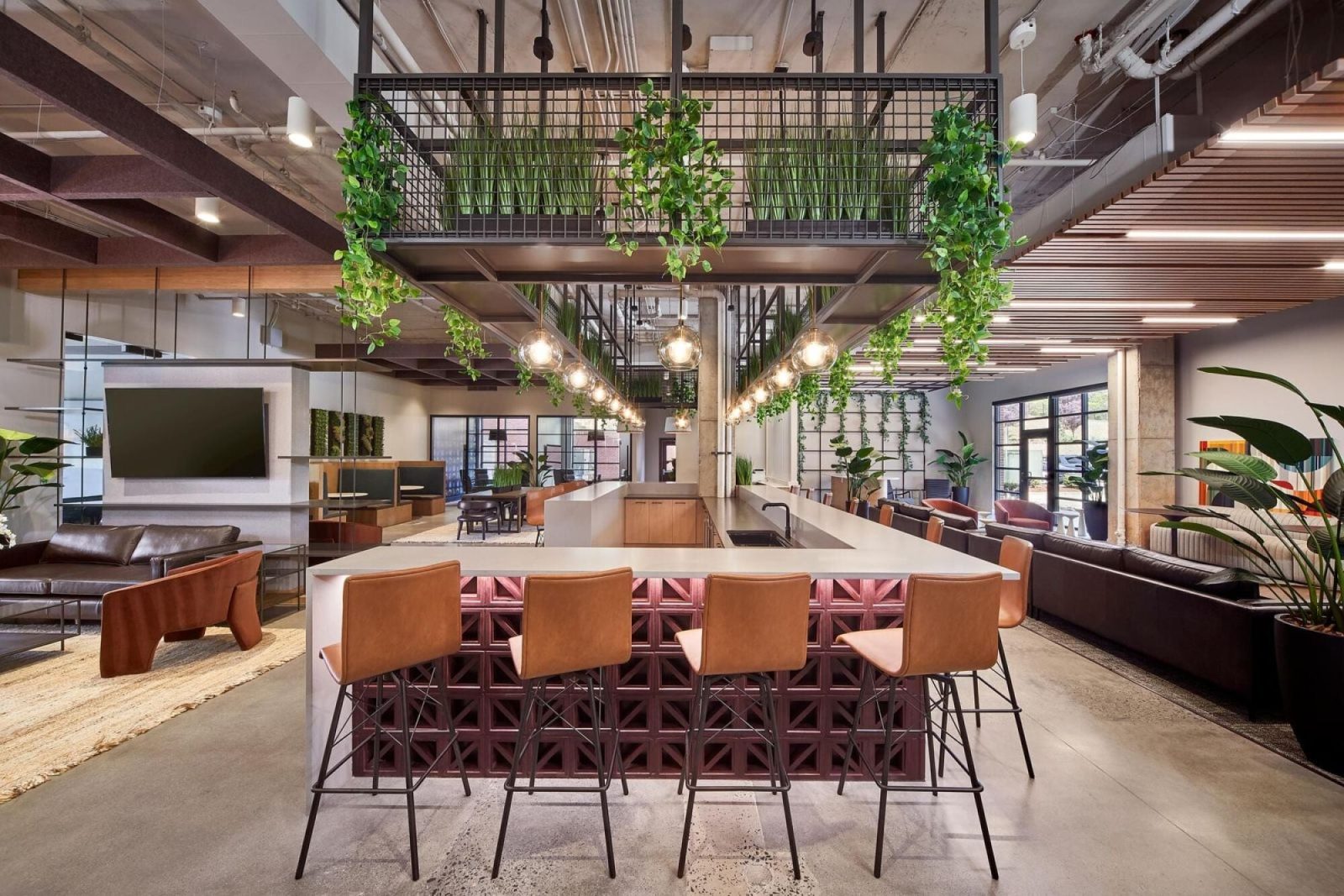 Village at Commonwealth — amenities